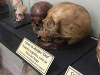 https://www.fernandohierro.com/files/gimgs/th-44_anatomias posibles calavera web pueblo originario.jpg